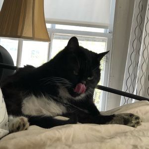 Meet your Posher, Libby